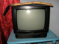 Телевизор Семург с мухобойкой